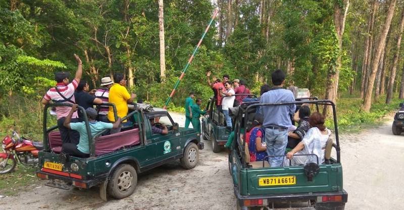 JUNGLE SAFARI IN GORUMARA